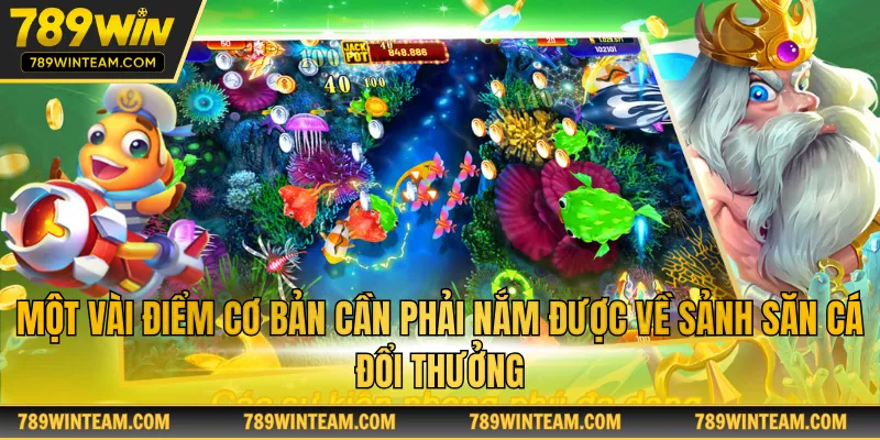 Một vài điểm cơ bản cần phải nắm được về sảnh săn cá đổi thưởng