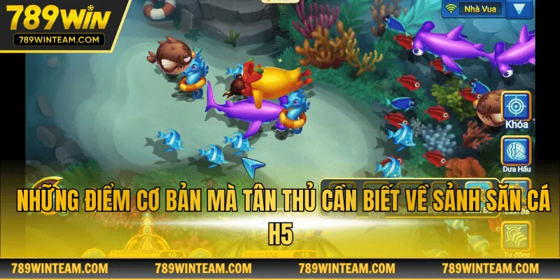 Những điểm cơ bản mà tân thủ cần biết về sảnh săn cá H5